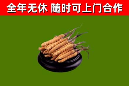 贡山县烟酒回收冬虫夏草.jpg